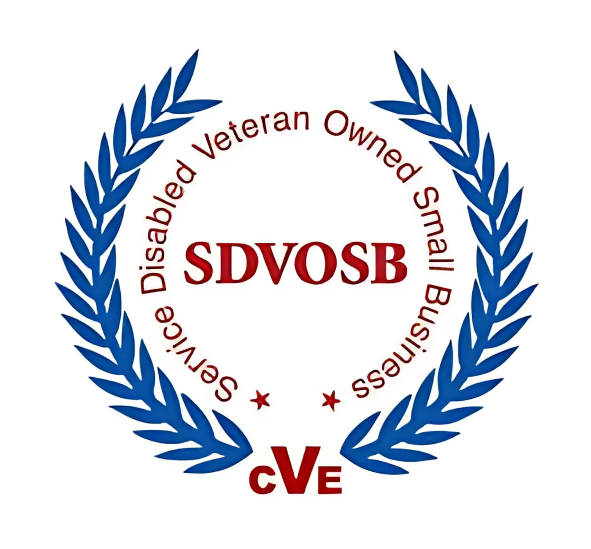 sdvosb Veteran Owned Business V2M2 Group